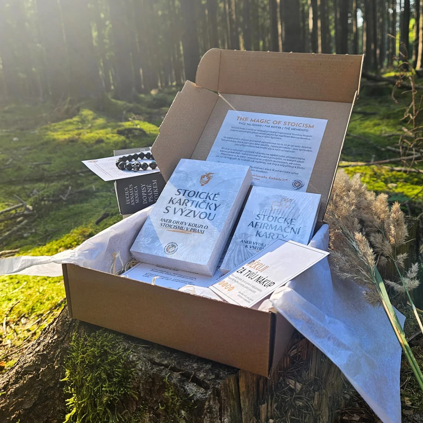 Stoický box The Magic of Stoicism – varianta basic