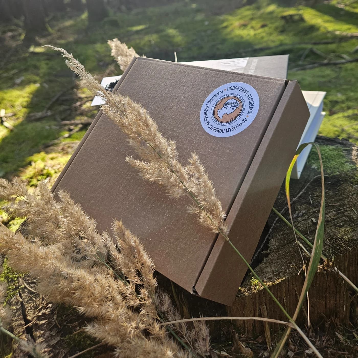 Stoický box The Magic of Stoicism
